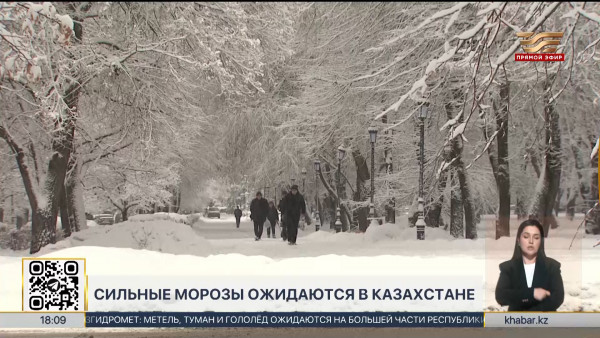 Бураны и сильные морозы надвигаются на Казахстан