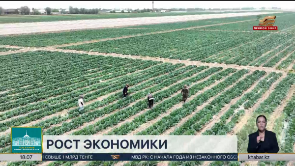 Рост экономики страны достиг показателя в 6,3%