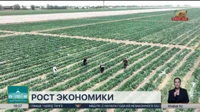 Рост экономики страны достиг показателя в 6,3%