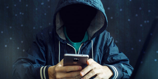 В Павлодарской области резко возросло количество интернет-мошенников