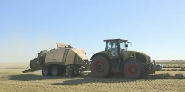 Аграрии Актюбинской области за счёт внедрения передовых технологий увеличивают производительность труда