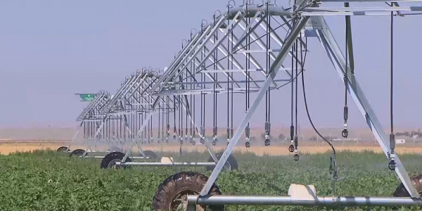 Қантқа қашан қарық боламыз?