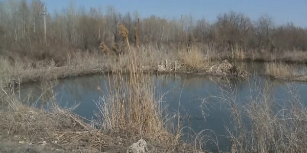 Экологическая катастрофа грозит Иртышу