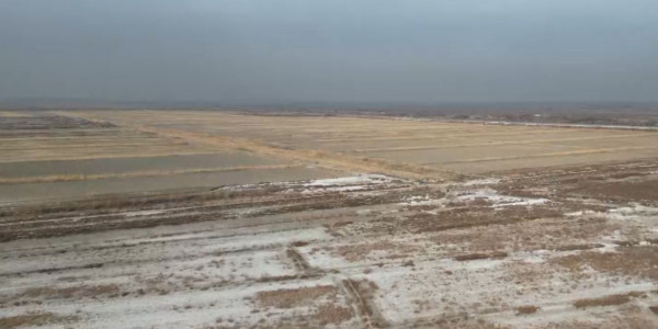 200 тыс. гектаров земель вернутся в госсобственность в Кызылординской области