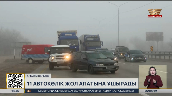 Алматы облысында 11 автокөлік жол апатына ұшырады