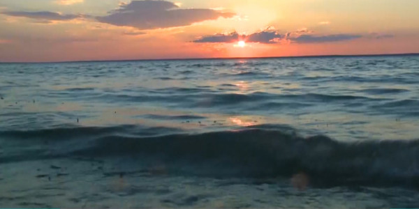 Кокаральскую плотину размывает сильное течение Сырдарьи