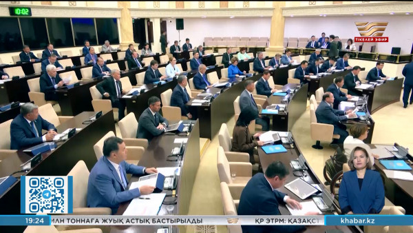 Қазақстанда жаңа квазимемлекеттік компанияларды құруға тыйым салынды