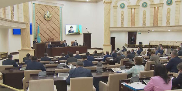 Сенаторлар бюджеттің тиімсіз шығыстарын қысқартуды ұсынды