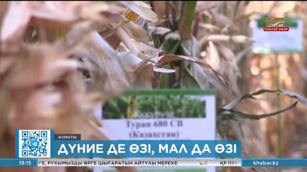 Тәуелсіздік жылдары ғалымдар бірталай жетістікке қол жеткізді