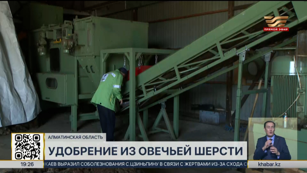 Удобрение из овечьей шерсти начали производить в Алматинской области