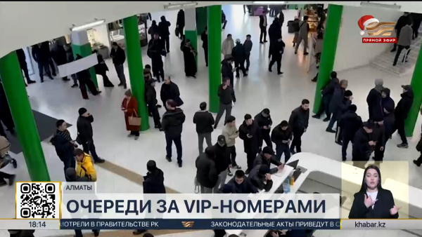 Получение «красивых» автономеров планируют перевести в онлайн-формат