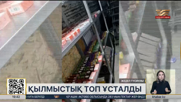 Ақмола облысында вейптерді заңсыз саудалаған қылмыстық топ ұсталды