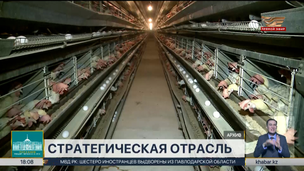 Казахстан значительно снизил зависимость от импорта мяса птицы