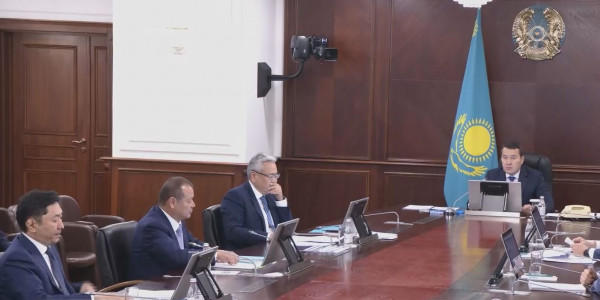 Елімізде азық-түлік бағасын тұрақтандыру шаралары тиісті деңгейде жүзеге аспай тұр