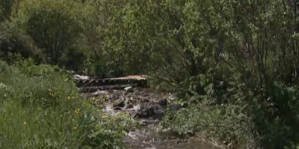 Активисты отказались входить в общественный совет при нацпарке