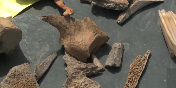 Плавильные печи саков обнаружили на востоке Казахстана