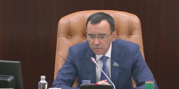 Сенат депутаттары еркін экономикалық аймақтар туралы заңды мақұлдады