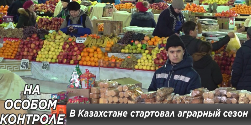 К. Токаев: продовольственная безопасность страны подорвана. «На особом контроле»
