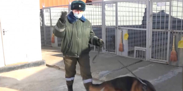 Кинолог-пограничник и глава отдела исправительного учреждения рассказывают о неженской профессии