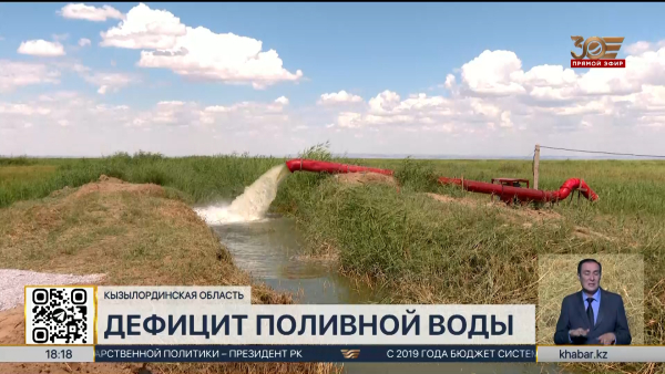 Нехватка поливной воды наблюдается в Кызылординской области