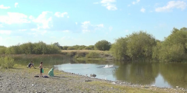 Абай облысындағы Көкпекті ауданында балалар демалатын жазғы лагерь жоқ