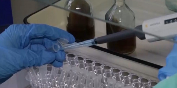 В лабораториях Костанайской области будут проводить 1800 исследований в сутки на COVID-19