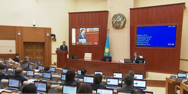 Проблемы СЭС обсудили на правительственном часе в Мажилисе