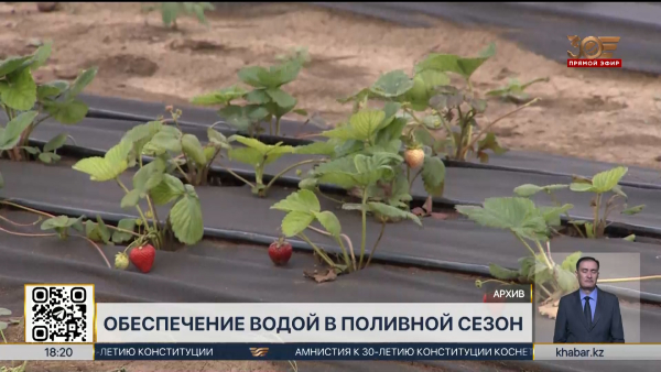 Более 2,5 млрд кубометров воды подано аграриям на юге страны