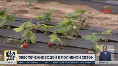 Более 2,5 млрд кубометров воды подано аграриям на юге страны