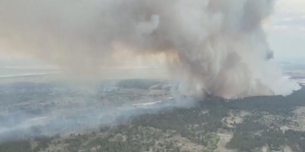 Абай облысындағы орман өртіне байланысты 2 қылмыстық іс қозғалды