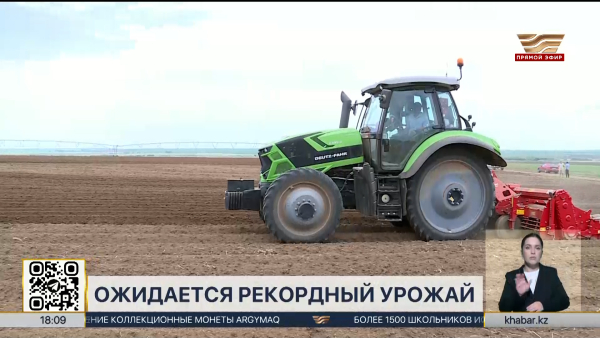 Почти 3 млн тонн картофеля собрано в РК