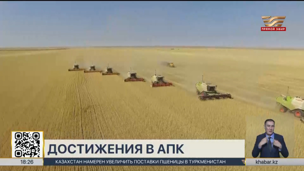 На триллион тенге произвели сельхозпродукцию акмолинские аграрии