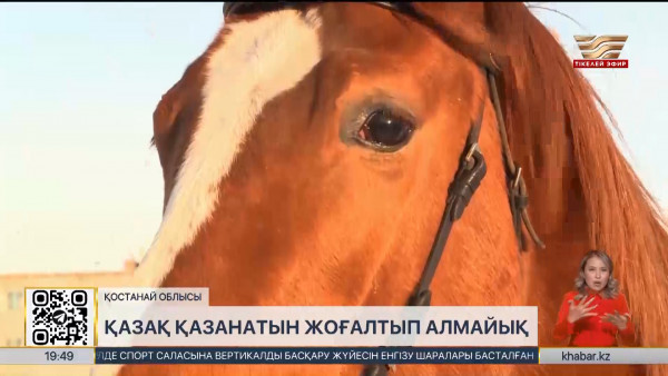 Қостанай жылқы зауытының жағдайы құлдырап кетті