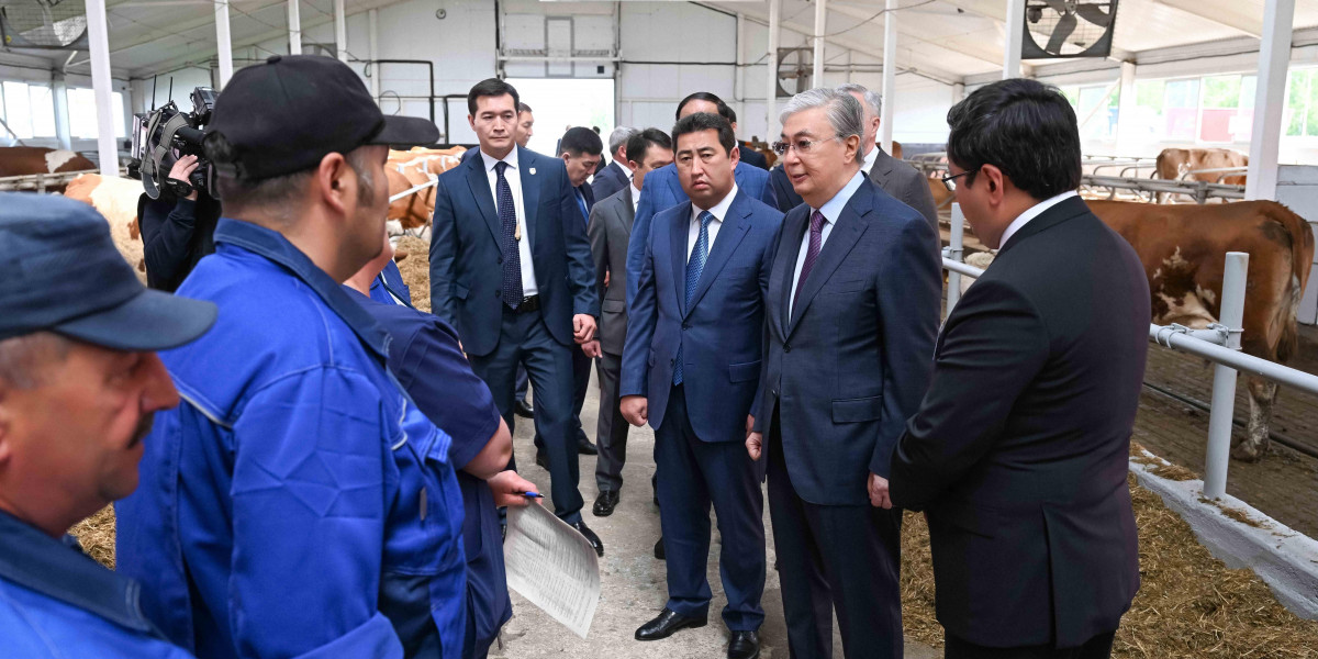 Глава государства посетил ферму «Қызылжар-сүт»