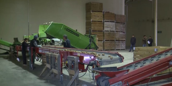 В Казахстане пересмотрят подход к регулированию цен на продукты сельского хозяйства