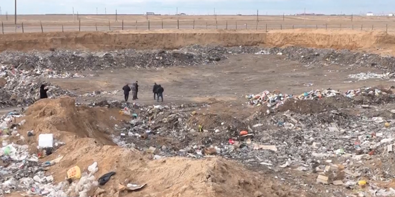 Домашний скот гибнет на мусорном полигоне в Атырауской области