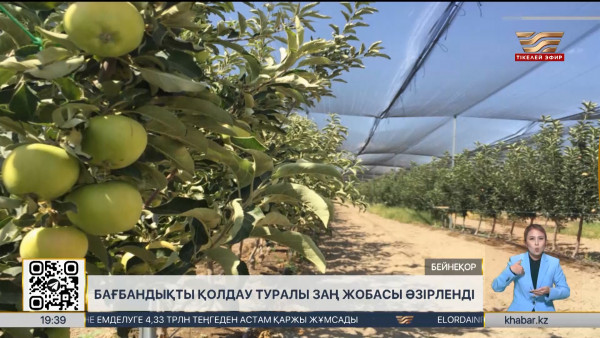 Мәжіліс жаңа заң жобаларын жұмысқа алды