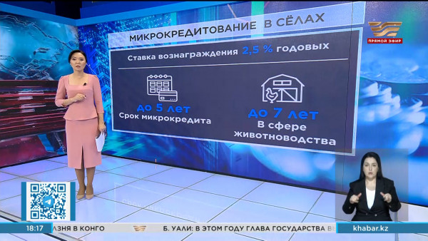 В Казахстане утвердили правила микрокредитования в селах и малых городах