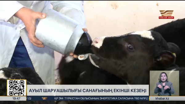 Ауыл шаруашылығы санағының екінші кезеңі жүреді