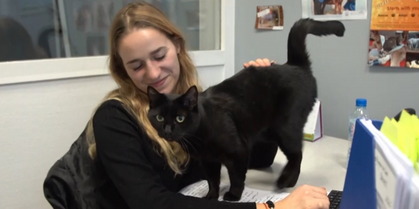 Фонд Брижит Бардо готов помочь Казахстану в стерилизации животных