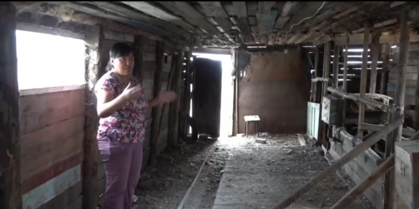 У сельчан забирают скот на санитарный убой в селе Аралагаш