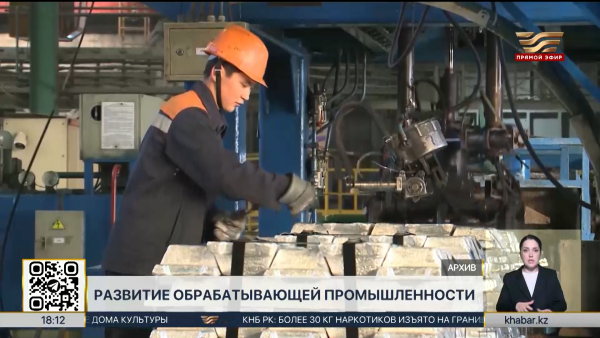 Дорожную карту по развитию обрабатывающего сектора разработают в РК
