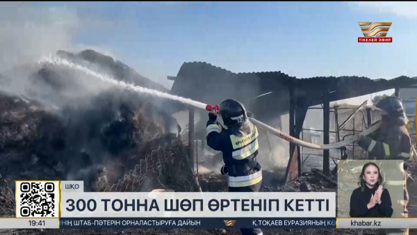 ШҚО-да 300 тонна шөп өртеніп кетті