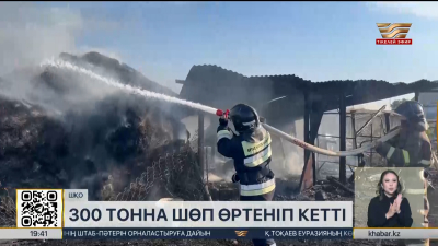 ШҚО-да 300 тонна шөп өртеніп кетті