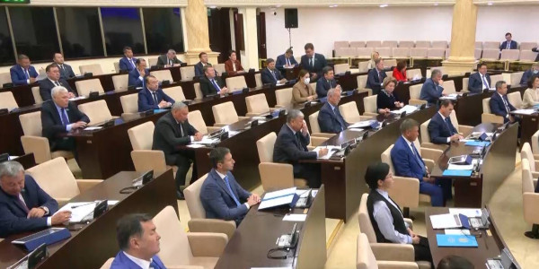 Не все воспитываемые отчимом семьи будут проверять в Казахстане