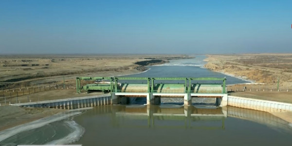 Қызылорда облысындағы теңіз жағасына егін егіледі