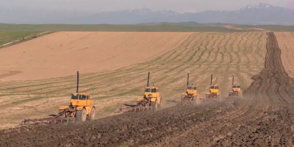 В Казахстане завершились весенне-полевые работы