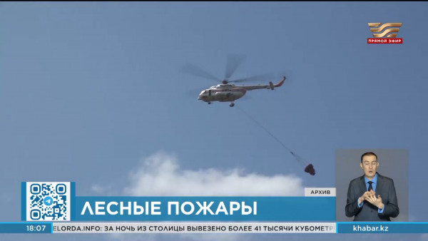 Мобильная связь появится в близких к крупным населенным пунктам лесхозах