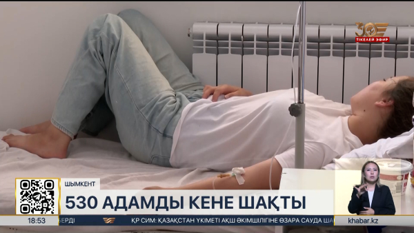 Шымкентте 530 адамды кене шақты