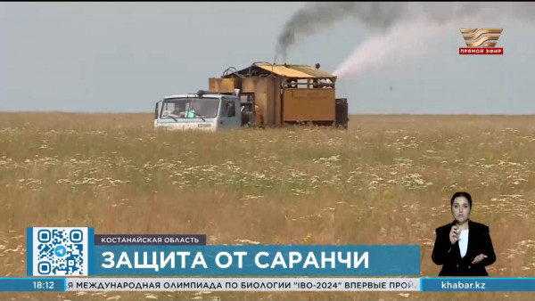 Химобработка полей против саранчи началась в Костанайской области
